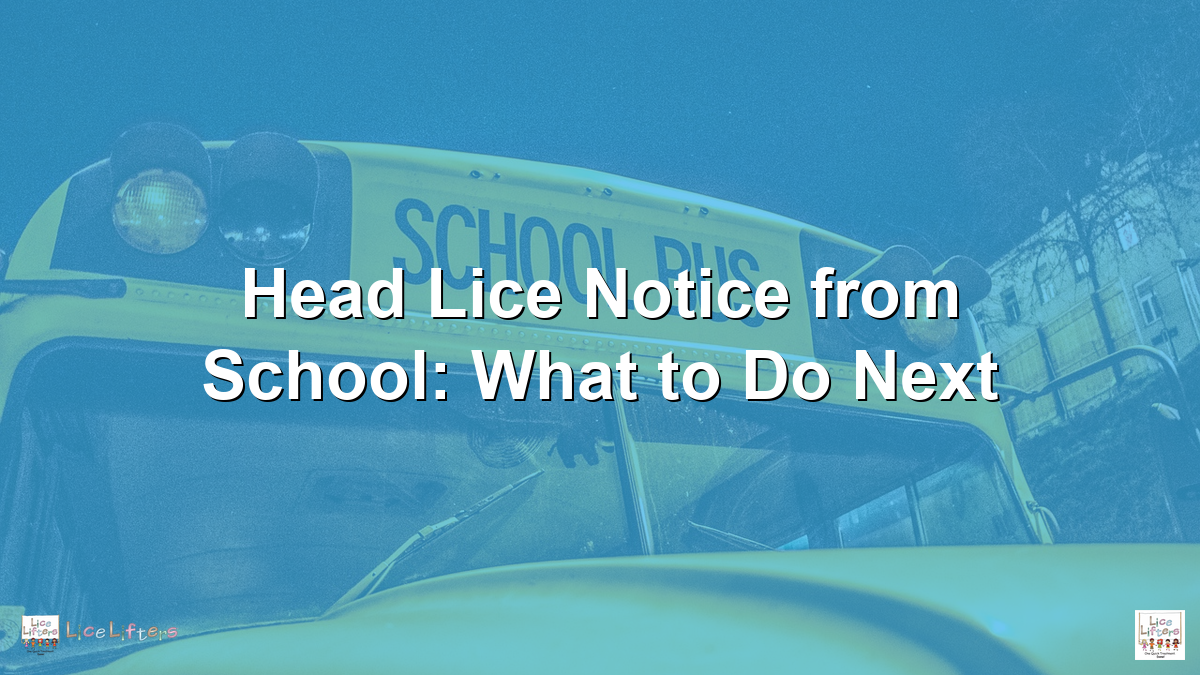 Head Lice Notice from School: What to Do Next