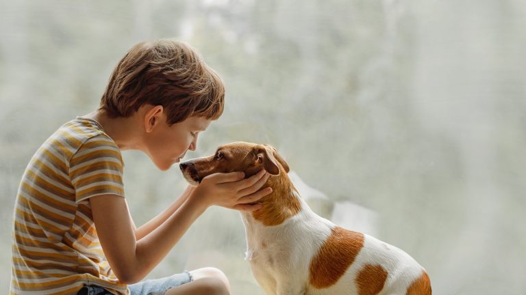Can Dogs or Cats Catch Head Lice From Kids?