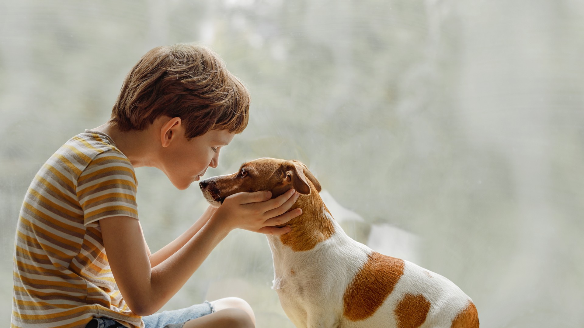 Young child kisses the family dog on the nose by a window, the everyday closeness that prompts parents to ask whether pets can catch head lice.