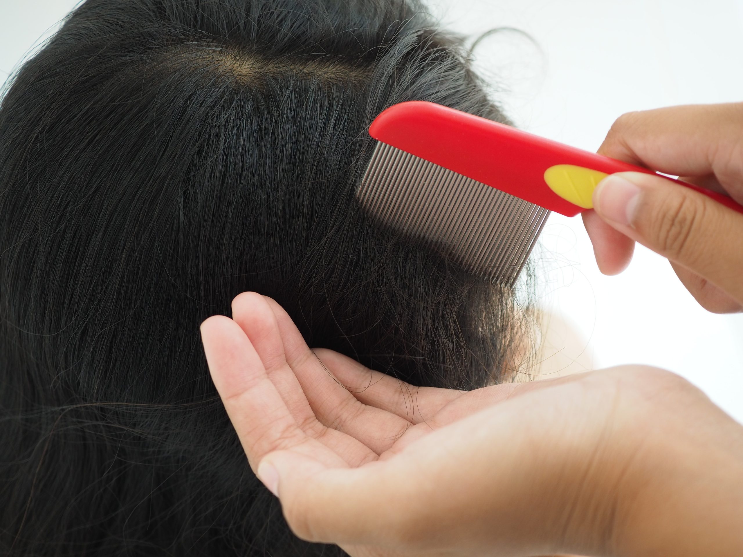 A parent parting a school-aged child's hair with a fine-tooth comb to check the scalp for head lice at home