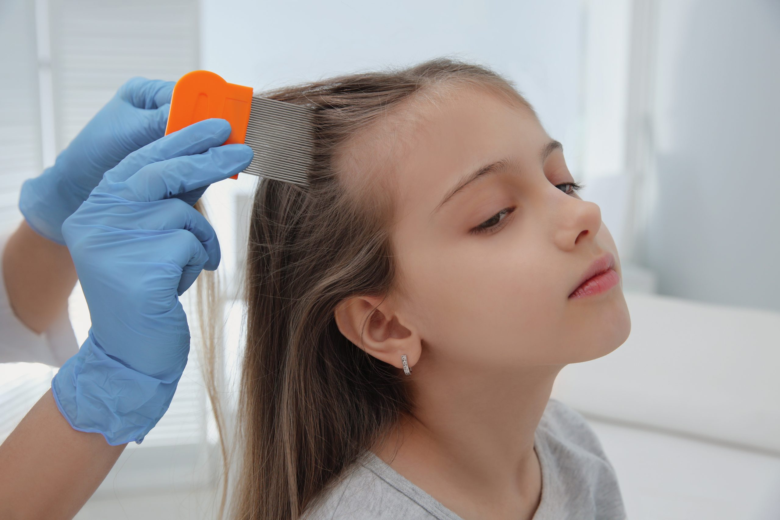 Lice removal technician using a fine nit comb on a girl's hair in a clinic