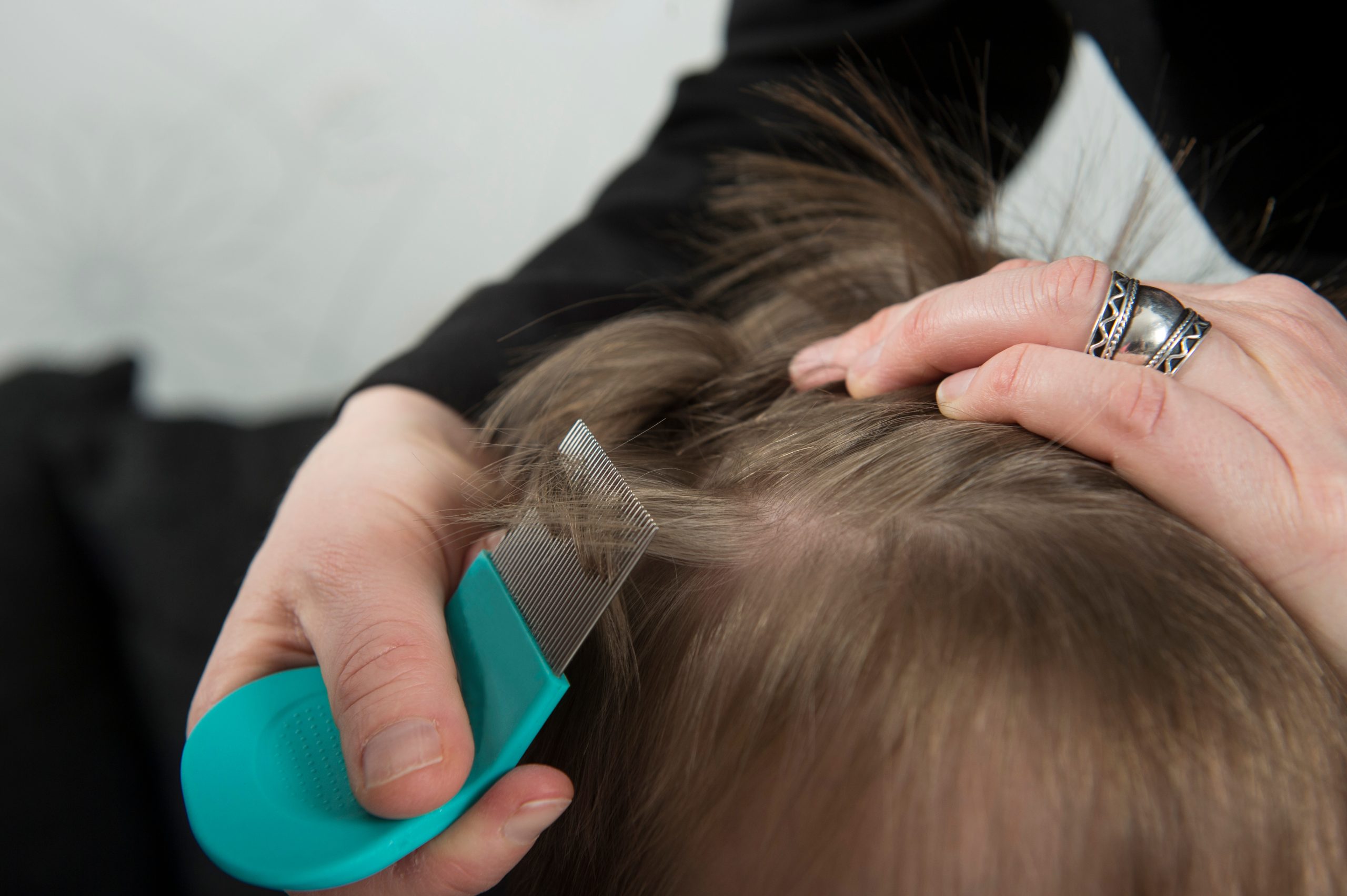 Parent using a lice comb to check a child before summer camp.