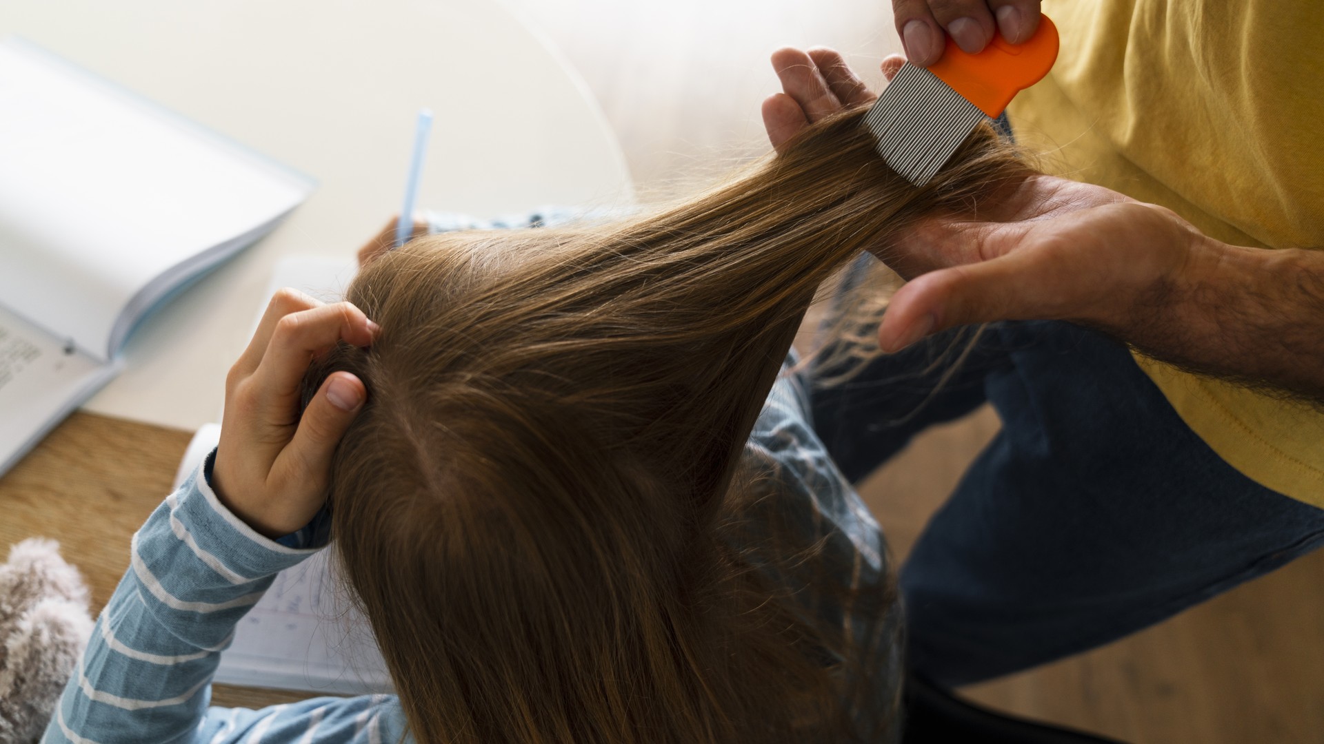 A Quarter Inch From the Scalp Decides If You're Lice Free featured image