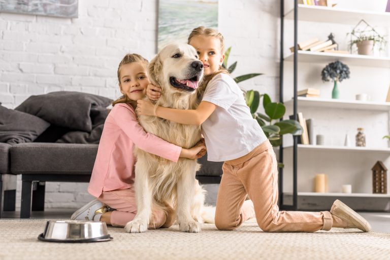 A Dog’s Fleas Will Bite a Scalp. They Will Not Move In.
