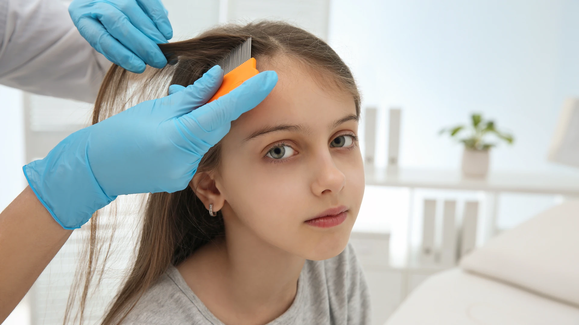 Blue-gloved hands using an orange fine-tooth comb near a person's temple.
