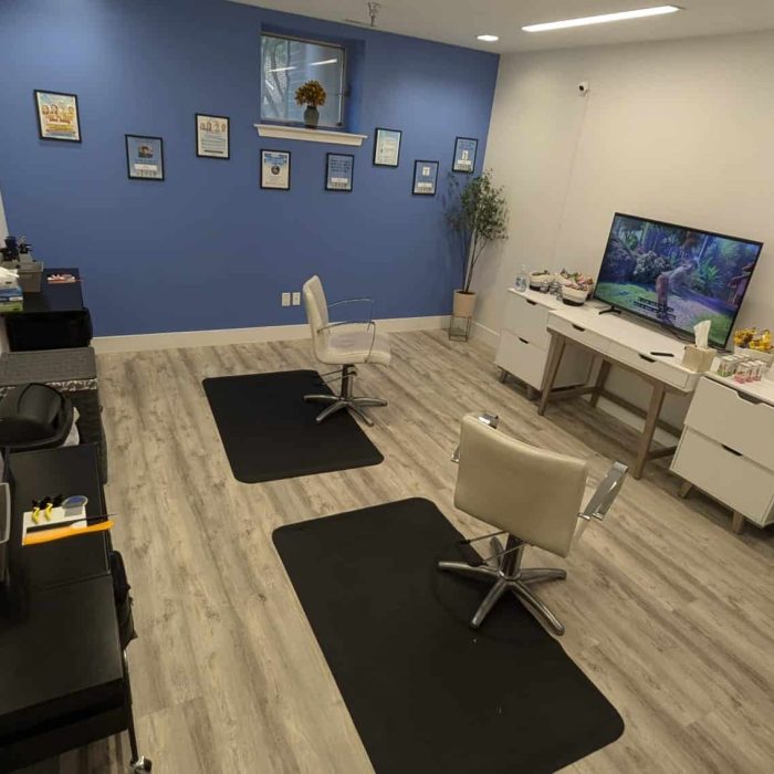 Treatment image by Lice Lifters Of Bucks County - Lice Treatment and Lice Removal Two reclining chairs on black mats facing a television and low cabinets.